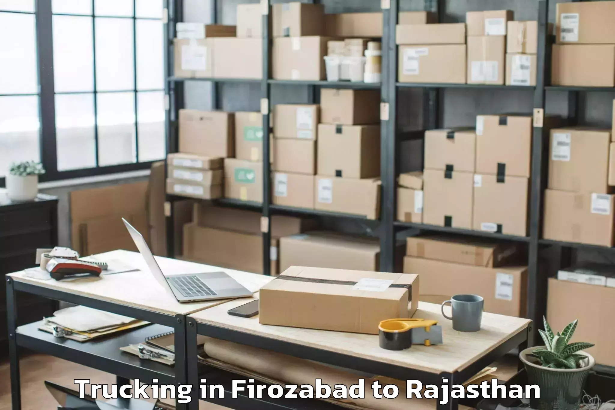 Easy Firozabad to Alwar Trucking Booking